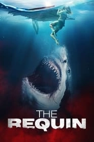 The Requin hd