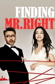 Finding Mr. Right hd