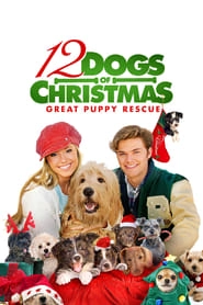 12 Dogs of Christmas: Great Puppy Rescue hd