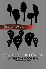 Spirits in the Forest hd