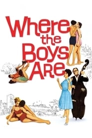 Where the Boys Are hd