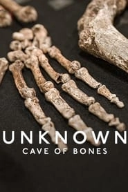 Unknown: Cave of Bones hd