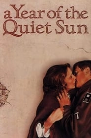 A Year of the Quiet Sun hd