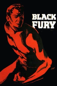 Black Fury hd