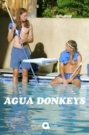 Agua Donkeys hd