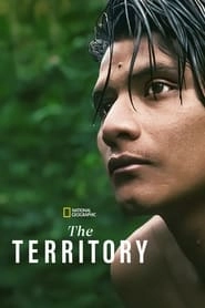 The Territory hd