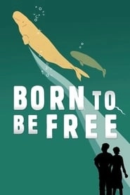 Born to Be Free hd