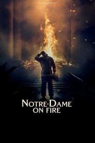 Notre-Dame on Fire hd