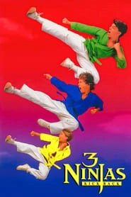 3 Ninjas Kick Back hd