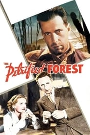 The Petrified Forest hd