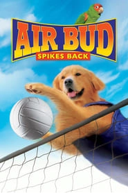 Air Bud: Spikes Back hd