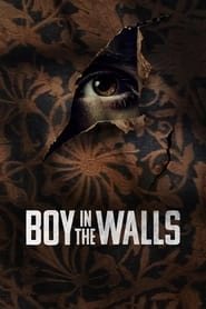 Boy in the Walls HD