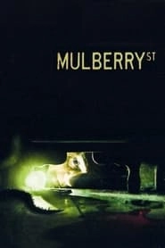 Mulberry Street hd