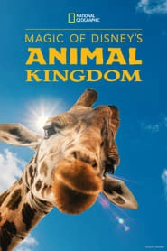Magic of Disney's Animal Kingdom hd