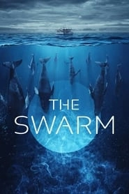 Watch The Swarm