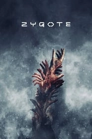 Zygote hd