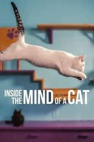 Inside the Mind of a Cat HD