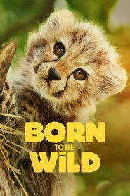 Born to Be Wild