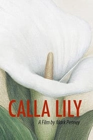 Calla Lily hd