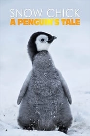 Snow Chick - A Penguin's Tale HD