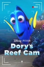 Dory's Reef Cam hd