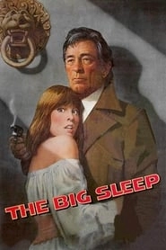 The Big Sleep hd