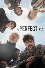 A Perfect Day hd