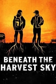 Beneath the Harvest Sky hd