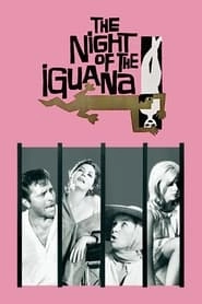The Night of the Iguana hd