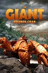 The Giant Robber Crab hd