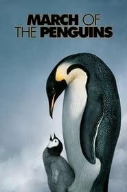 March of the Penguins hd