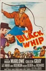 The Black Whip hd