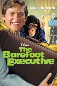 The Barefoot Executive hd
