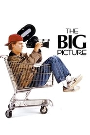 The Big Picture HD