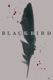 Black Bird hd