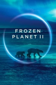 Frozen Planet II hd