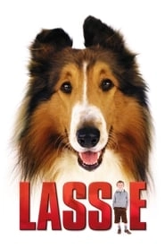 Lassie hd
