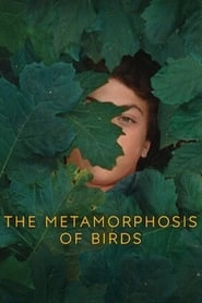 The Metamorphosis of Birds hd