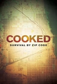 Cooked: Survival by Zip Code hd