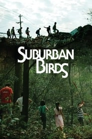 Suburban Birds hd