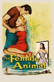 The Female Animal hd