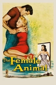 The Female Animal HD