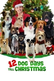 12 Dog Days Till Christmas hd