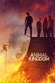 Animal Kingdom hd