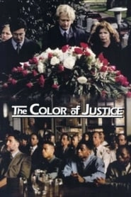 Color of Justice hd