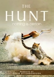The Hunt hd