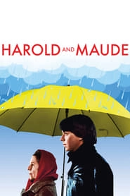 Harold and Maude hd