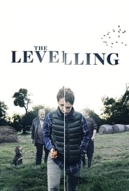 The Levelling hd