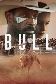 Bull HD