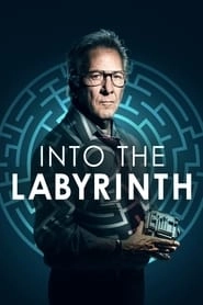 Into the Labyrinth hd